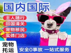 南充高坪空运地址国际宠物托运 【国